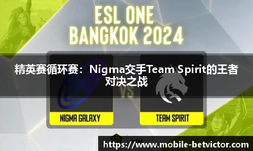 精英赛循环赛：Nigma交手Team Spirit的王者对决之战